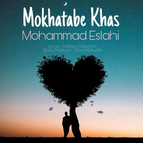دانلود آهنگ محمد اصلاحی به نام مخاطب خاص